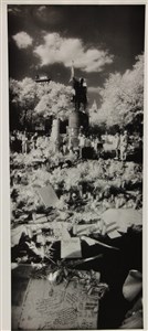 Image description is not available for 2003.025